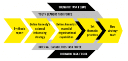 amnesty phases